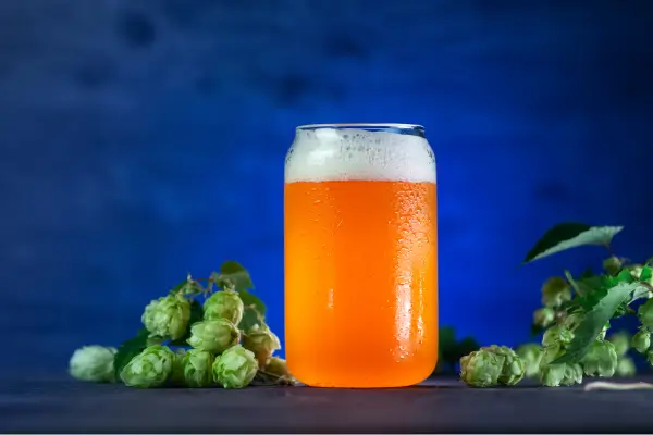 1-6 IPAs e Suas Variações: Conheça os Diferentes Tipos