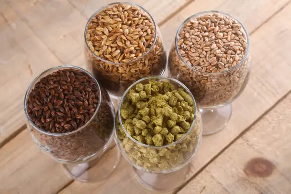 17 Como é Feita a Cerveja Artesanal: Ingredientes e Processo