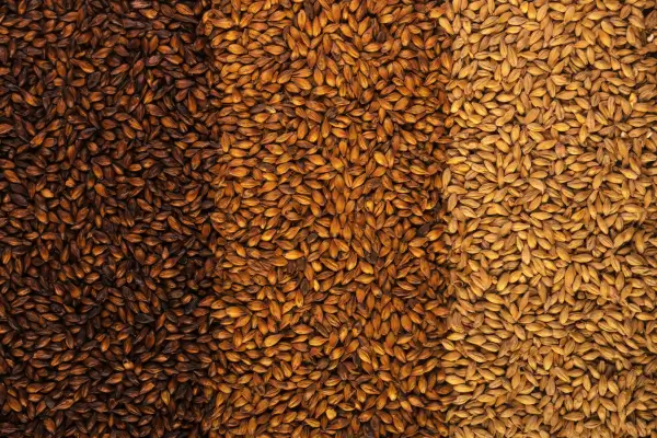 2-3 A Ciência por Trás da Cerveja: Maltes e Lúpulos