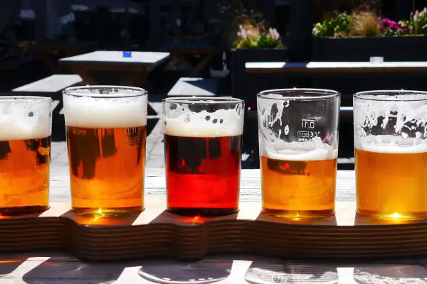 2 Introdução aos Estilos de Cerveja Artesanal: Qual Escolher?